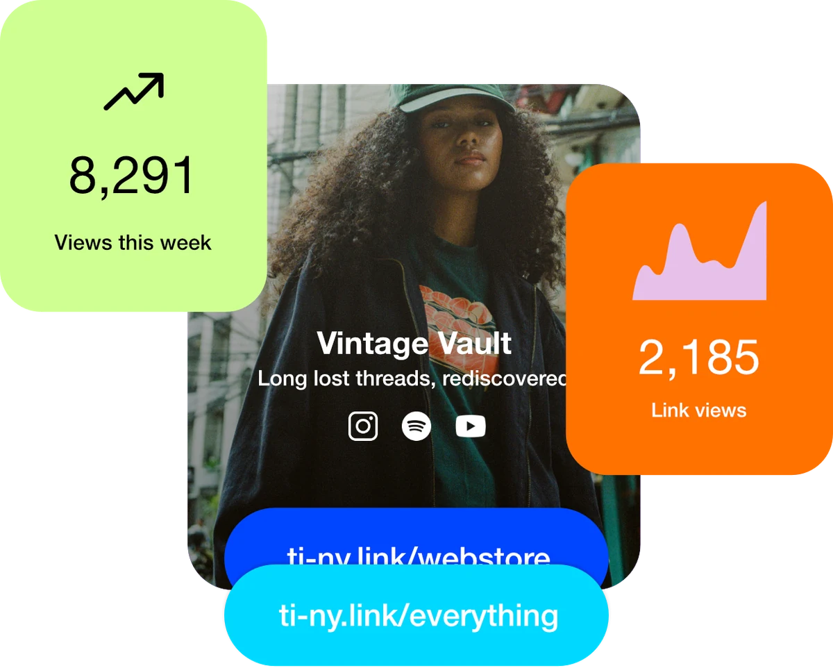 Illustrative ti-ny.link analytics showing visits and audience activity